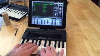 Miselu C.24 With Animoog