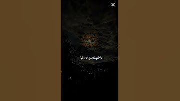 اكتب شيء تؤجر عليه ❤🎧😴 #المصحف #اكسبلور #تلاوة_خاشعة #صوت_جميل #الرحمن #لايك #قرآن