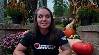 What We Worked On This Week (Nonprofit Update)