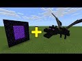 I Sent an Ender Dragon to the Nether Portal in Minecraft - Here's What Happened...