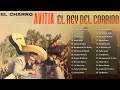 Francisco El Charro Avitia Exitos Inolvidables - Francisco El Charro Avitia Puras Rancheras De Oro