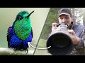 How to Photograph HUMMINGBIRDS