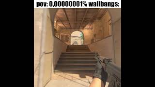 Pov 0,00000001% Wallbangs Pt3