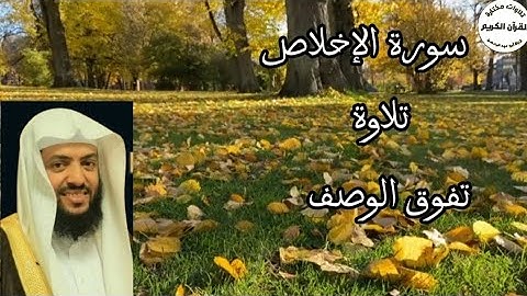 سورة الإخلاص.. تلاوة تفوق الوصف.. للقارئ وديع اليمني