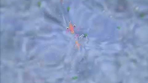 My Spore Explorer Ep:1