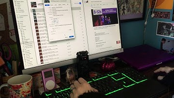 ASMR Data Entry (typing sounds, rambling, & mouse clicks)