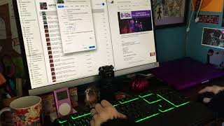 ASMR Data Entry (typing sounds, rambling, & mouse clicks)