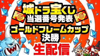 ★世界100個限定★ 城ドラ　クリスマスプレゼント　当選品　45個セット mqdefault.jpg