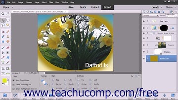 Photoshop Elements 15 Tutorial Renaming Layers and Deleting Layers Adobe Training