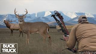 Hunting Public Land Elk and Deer | Montana Buck Truck
