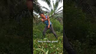 Stay on the Grind | Real Farm Work 🌿