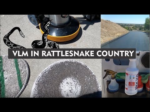 VLM Carpet cleaning In Rattle Snake Country - Procyon spot remover and Bonnet To the rescue !