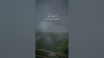 وجعلوا لله شركاء الجن وخلقهم [  سورة الأنعام : ١٠٠ - ١٠٣ ] القارئ ياسر الدوسري