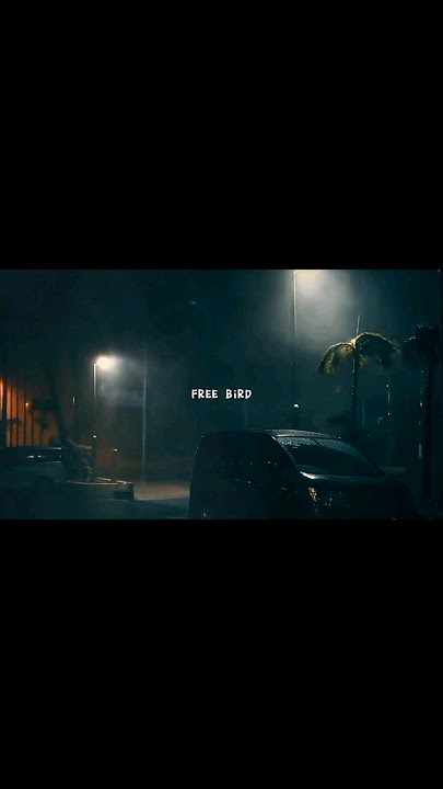 Story wa Free bird #shorts