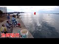 堤防から釣れた記録級の大物に離島の漁師軍団もどよめいた！(Vol.757)