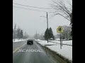 Snowy day #shortsvideo #shorts