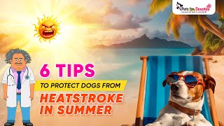 How to Keep Your Dog Cool in Summer| Dog Care Tips| Dr. Pawsome| Pet Care Expert