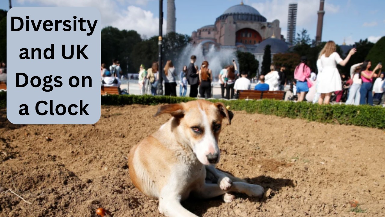 UK Dogs Now At Risk Due To UK Diversity YOU HAVE BEEN WARNED