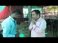 Beetal goat farm at phaltan by nikhil abhangnidhi goat farmhindi