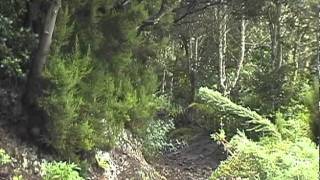 Sendero lomo la bodega lomo las casillas