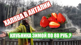 Бесплатные (ПОЧТИ) развлечения в Анталии. Дюденские водопады.  Цены и выбор на воскресном рынке.