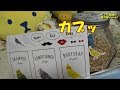 Can★Doの Can★Zoo？のインコのボトル用ステッカーを貼るよ！　オカメインコ桃太郎