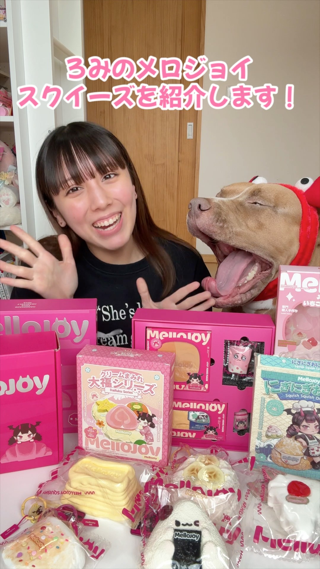 A complete guide to Melojoy squishies! Which is your favorite