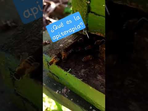 ¿Qué es la