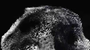 OVERWERK - Force - Experimental Music Video