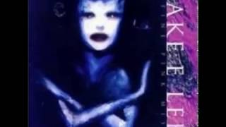 Jake E. Lee - A Fine Pink Mist (1996) Full Album