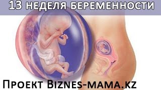 видео 13 неделя беременности