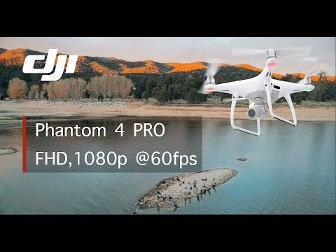 NEW DJI Phantom