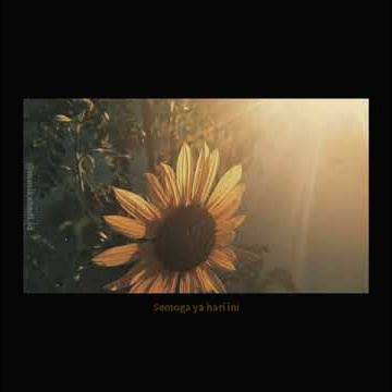 Story WA Kekinian Terbaru Viral! Semoga Ya Hari Ini Lagu Nosstress Video Sedih Galau