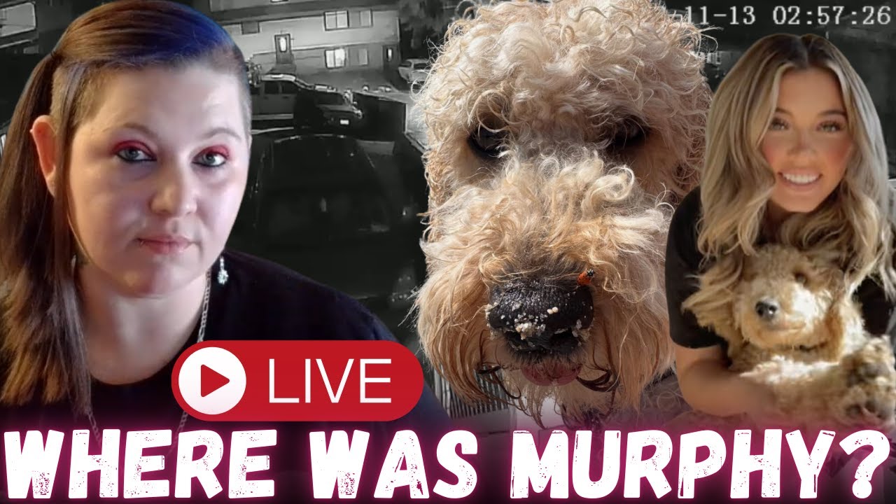 🚨LIVE! Where Was Murphy While Kaylee and Maddie Were Calling Jack? Footage Review, Reports and Call