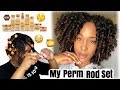 MY PERM ROD SET!! | *NEW* CREME OF NATURE PURE HONEY COLLECTION!