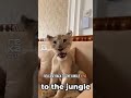 Unforgettable Animal Moments #Animals #Pets #Wildlife #CuteAnimals #FunnyAnimals