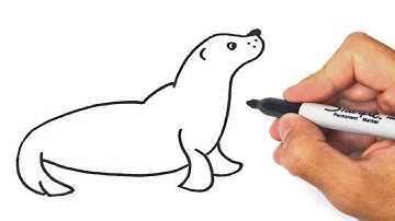 How to draw a Seal Step by Step | Seal Drawing Lesson