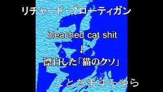 題名のない残念会【漂白した猫のクソみたいな第5回】テレノイド、リチャード・ブローティガン、大食い考察ベンヤミンの「食物あれこれ」添え／サムライ・小林レント