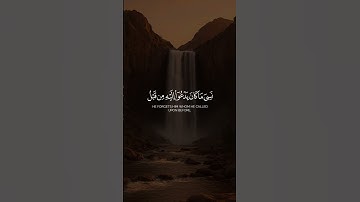 سورة الزمر الآية (٨)