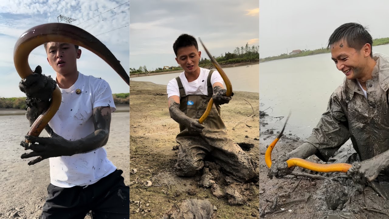 水猴子在一个塘里抓了四桶鳝鱼，老板的脸都笑开花了！#户外抓鱼 #户外捕鱼 #水猴子 #乡村生活 #农村生活