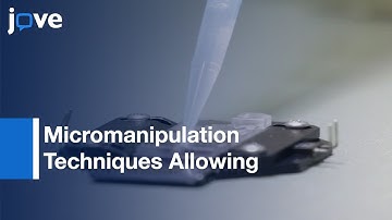 Morphogenetic Dynamics & Turnover: Cytoskeletal Regulators l Protocol Preview