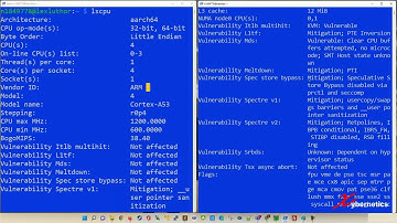 How To Check If Your Linux Is ARM64 Or x86 Architecture