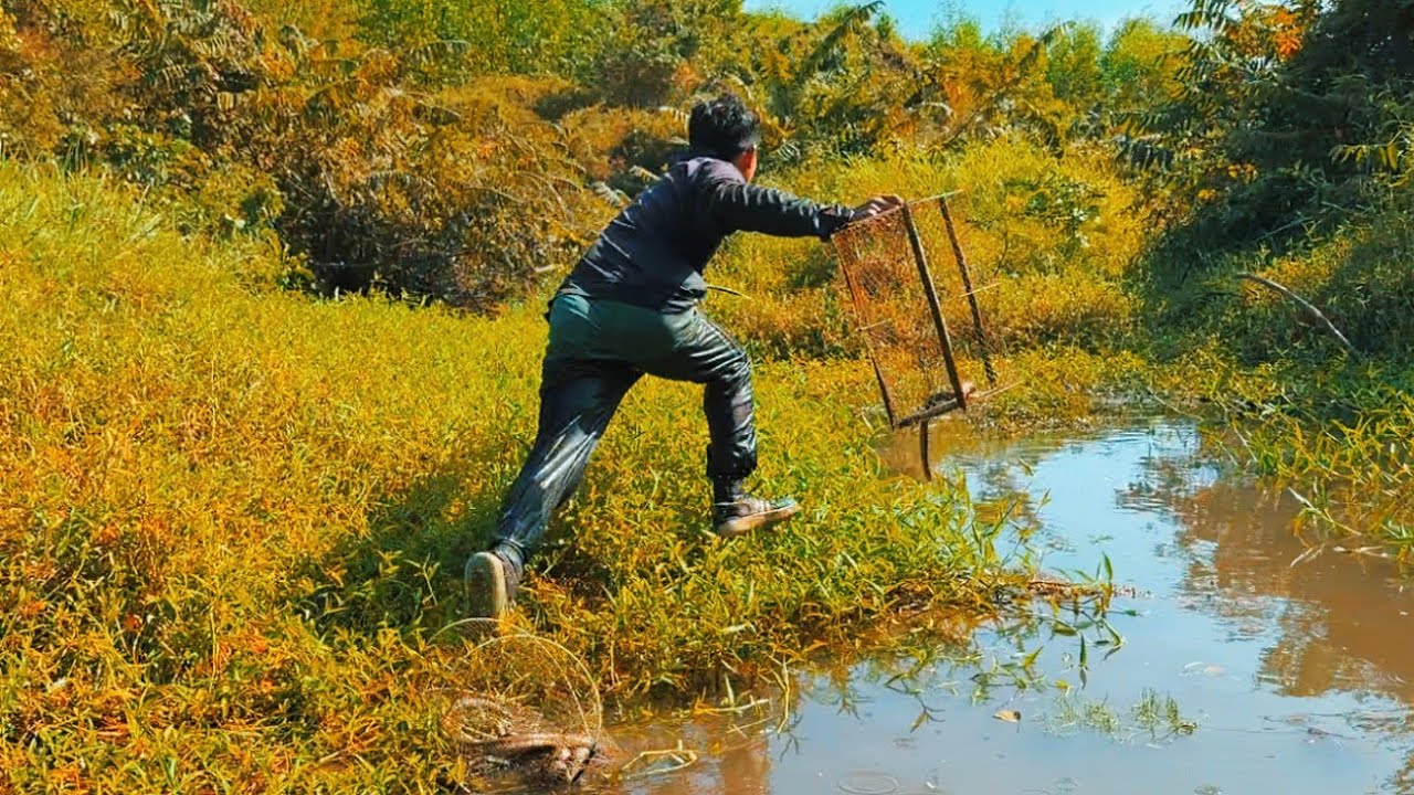 Bỏ Của Chạy Lấy Người Khi Đi Săn Cá Ở Cặp Bìa Rừng Quá Nguy Hiểm 🥶🥶