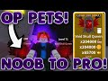 Noob to PRO getting 500K+ total stats pets! [ROBLOX SABER SIMULATOR]