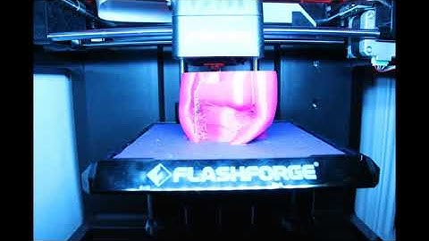 Timelapse flashforge finder canon 600D