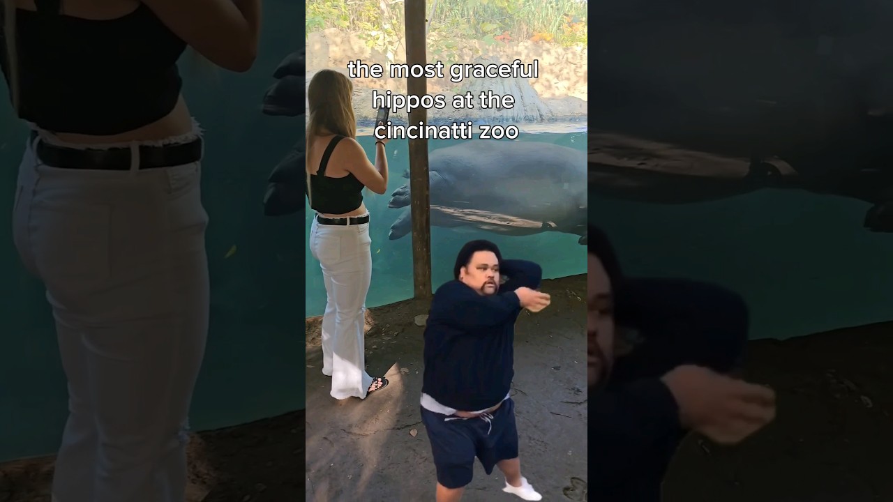 THE MOST GRACEFUL HIPPO! 