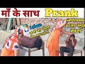 I phone          prankprankwithmom prank viral youtube