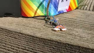 Our New Rainbow Collar by Widgets Wardrobe 63 views 1 year ago 16 seconds