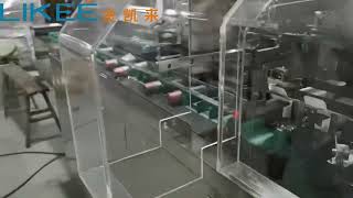Automatic packing machine factory operation