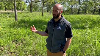 Habitat Hints: Savanna Restoration